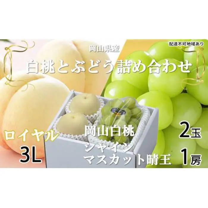 ぶどう 2026年 岡山 白桃 ロイヤル 2玉×約300g（3Lサイズ、早生種・中生種）シャインマスカット 晴王 1房約600g 詰め合わせ フルーツ | シャインマスカット