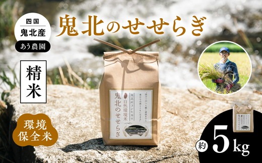 【先行予約】【R7年産】【環境保全米】鬼北町のせせらぎ 5kg（コシヒカリ） ｜ お米 お米不足 お米品薄 おいしい お米 事業者支援 送料無料 白米 精米 国産 限定 ごはん ご飯 白飯 ゴハン 愛媛県産 鬼北町 ※2025年9月上旬より順次発送予定