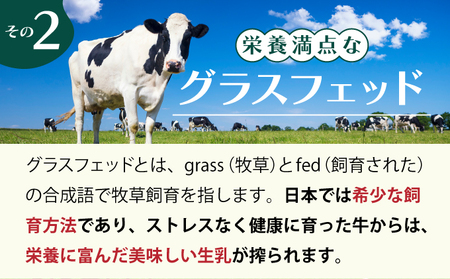 のぼりべつ牛乳3本（1，000ml×3本）【6ヶ月連続お届け】