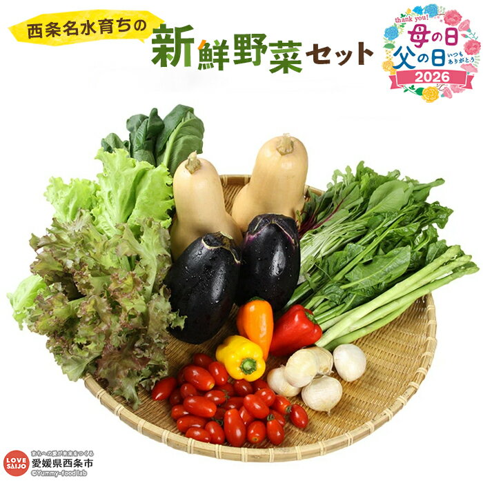 【ふるさと納税】＜西条名水育ちの新鮮野菜セット＞※翌月末迄に順次出荷します。（旬のお野菜セット）父の日 やさい 詰め合わせ 産地直送 おまかせ お楽しみ 愛媛県 西条市【冷蔵】