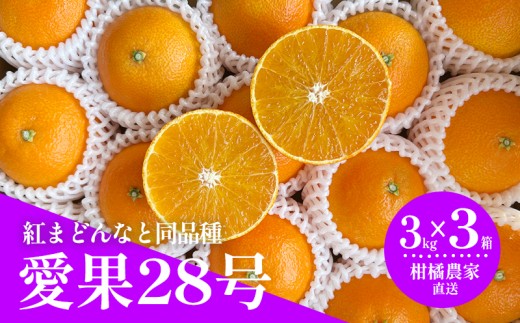 【2026年11月下旬頃から順次発送】 数量限定 愛果28号（紅まどんなと同品種） 約3kg×3箱｜ 愛媛 あいか 柑橘 あいか えひめ  くだもの あいか 松山  みかん あいか 北条 フルーツ ミカン