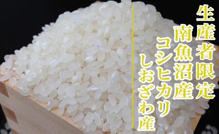 【新米予約・令和6年産】精米２Kg 生産者限定 南魚沼しおざわ産コシヒカリ