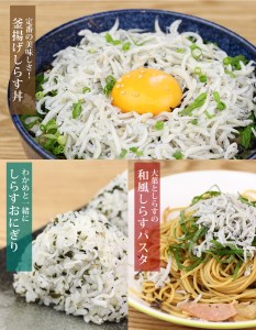 漁師直送！釜揚げしらすちりめん 約１ｋｇ（500ｇ×2）_M70-0001