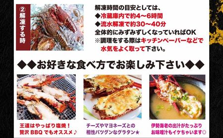  【漁師直送／活〆冷凍】 冷凍 伊勢海老 （１kg／２〜５尾） 海老 海老 海老 海老 海老 仲野水産 