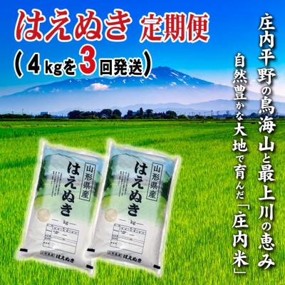 ふるさと納税 酒田市 【毎月定期便】小袋で2つ　山形県の米どころ庄内平野で育った庄内米　はえぬき4kg全3回