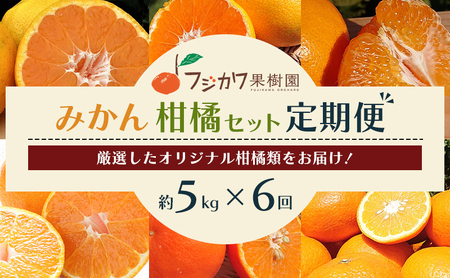 柑橘セット フジカワ果樹園 新季節 みかん 柑橘セット【定期便6回】
