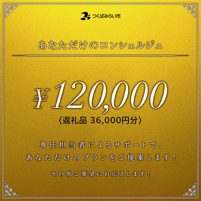 【ふるさと納税】あなただけのコンシェルジュ12万円（商品代金36,000円分）