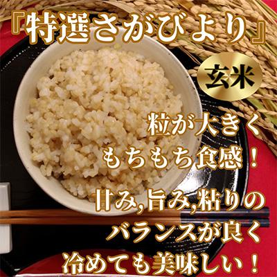 ふるさと納税 みやき町 【毎月定期便】《特選さがびより》玄米10kg(5kg×2袋)【みやき町産】全6回_SS533 |  | 01