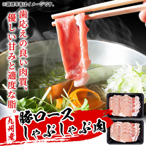 鹿児島県産黒毛和牛ロースステーキ(計400g/約200g×2枚)と九州産豚ロースしゃぶしゃぶ(計500g/250g×2P) a8-067