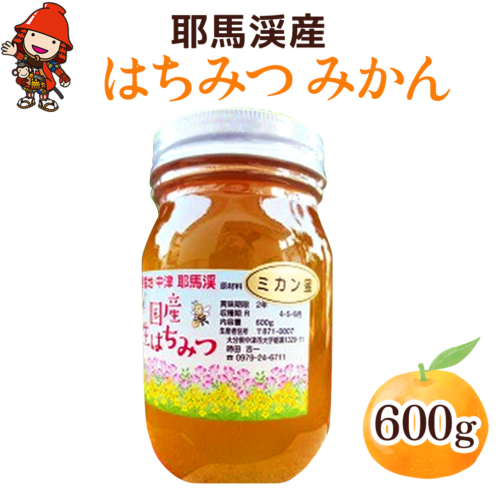 中津・耶馬渓のはちみつ みかん 600g × 1瓶 | 時田養蜂場 国産 蜂蜜 はちみつ ハチミツ みかん 蜜柑 ミカン 瓶 大分県産 九州産 大分県 中津市