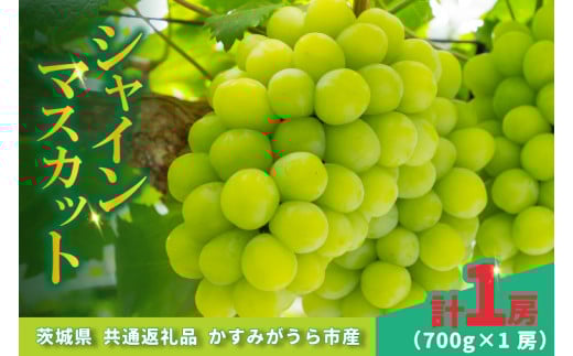 シャインマスカット700g×1房 (BR177)