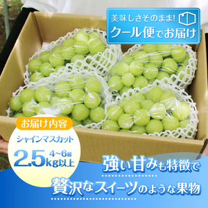 葡萄の里 シャインマスカット たっぷり大容量 2.5kg以上（4～6房）【2025年発送】（HK）C5-440【シャインマスカット 葡萄 ぶどう ブドウ 令和7年発送 期間限定 山梨県産 甲州市 フル