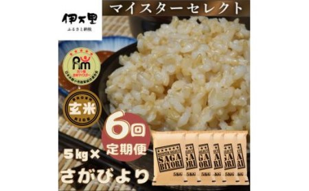 【定期便】【玄米】さがびより５kg×６回 B706