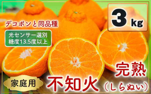 【先行予約】 家庭用 不知火（しらぬい）3kg 光センサー選別 糖度13.5度以上 【2026年2月～3月発送】 ミカン デコポンと同品種 みかん 不知火 家庭用 愛媛県 松山市