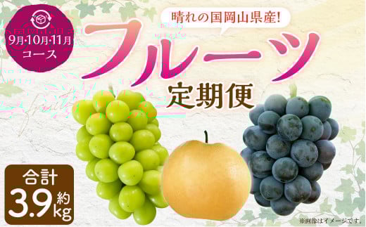 【3回定期便】岡山県産 フルーツ定期便コース （ニューピオーネ・ 晴王・あたご梨） 計約3.9kg 【2026年9月上旬発送開始】 ニューピオーネ シャインマスカット 晴王 ぶどう 葡萄 マスカット あたご 梨 なし フルーツ 果物 くだもの 岡山
