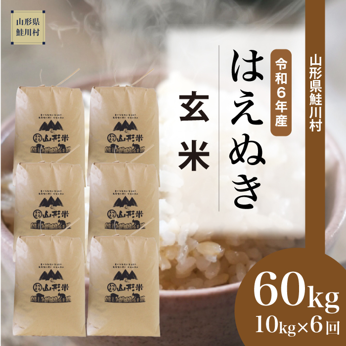 ＜令和6年産米 配送時期指定できます！＞　はえぬき【玄米】60kg定期便(10kg×6回)　鮭川村