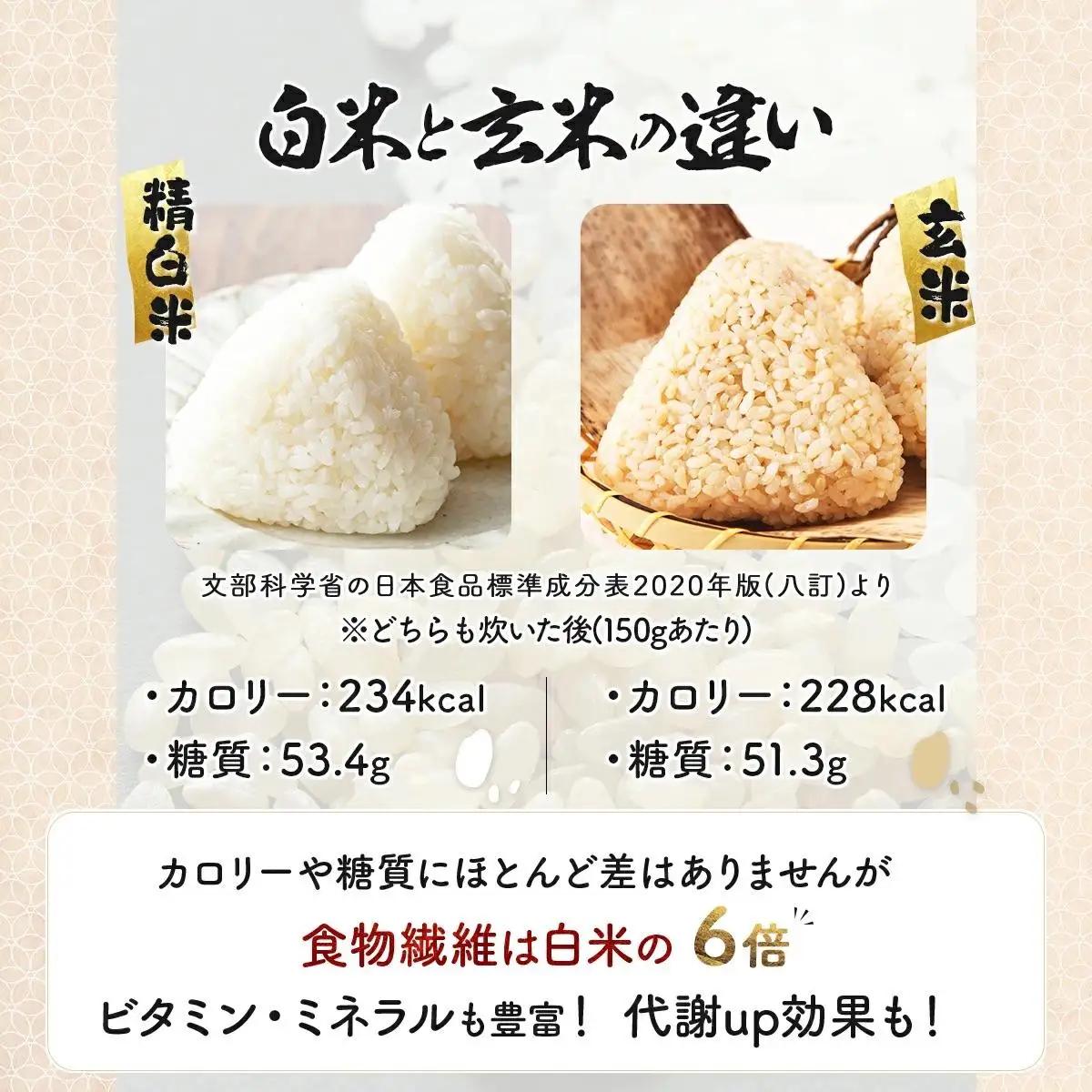 ＜令和8年産＞『100%自家生産玄米』善生さんの自慢の米 玄米ゆめぴりか 40kg｜北海道 岩見沢市 お米 新米【a104-090】【06142】