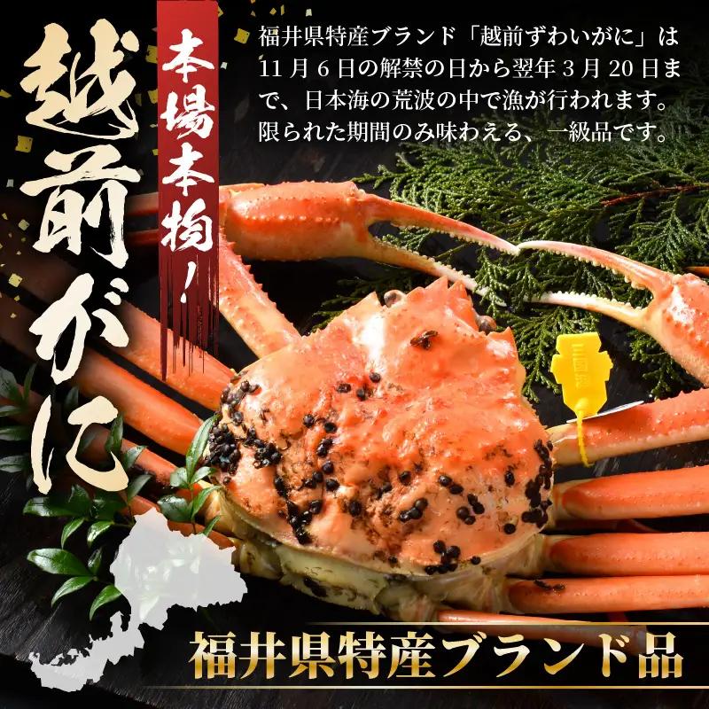 越前蟹 訳あり 茹で 越前ズワイガニ 大 3杯 脚折れ 【2月発送分】 [O-1403_02]