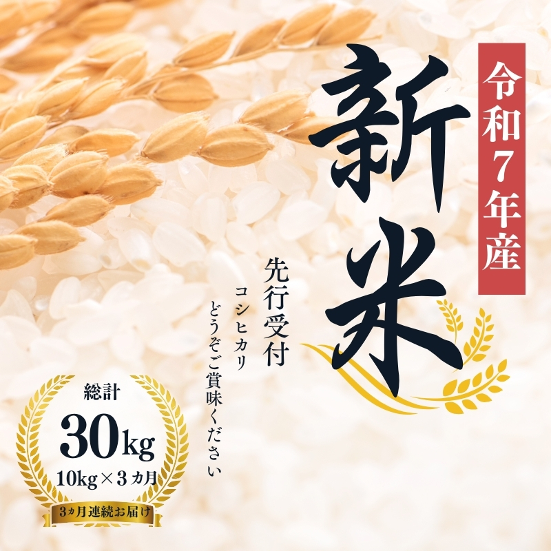 No.1497【令和7年産】大文字屋米穀店【定期便3回】コシヒカリ 10kg（5kg×2）精米 （3か月連続お届け）