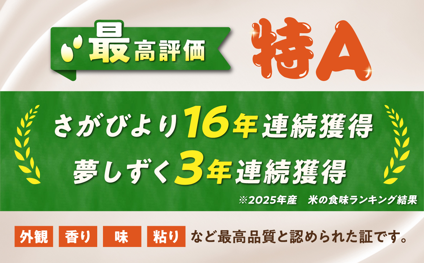 無洗米 食べ比べセット 10kg （さがびより5kg・夢しずく5kg） 無洗米 お米 白米 精米 佐賀県産 米 /大塚米穀店 [UFE019]