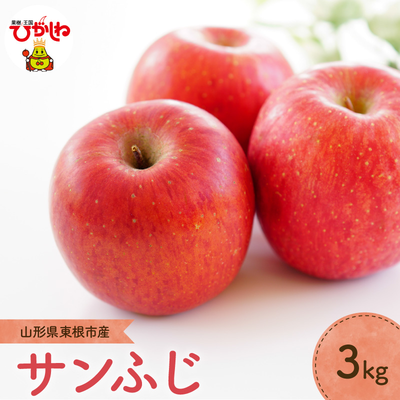 【2026年産】りんご「サンふじ」3kg よってけポポラ提供 hi003-171