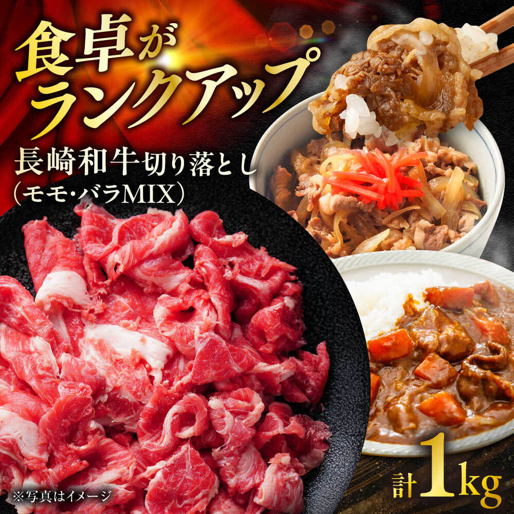 【ふるさと納税】長崎和牛 切り落し（もも・バラMIX） 約500g×2P 計1kg / 切り落とし 切落し 牛 ブランド牛 和牛 / 大村市 / まるしん商会[ACCD022]