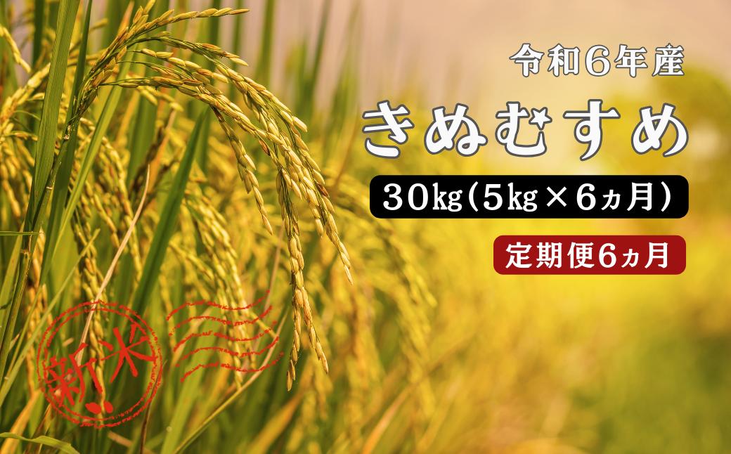 
150262【令和6年産／お米定期便／6ヵ月】しまね川本 きぬむすめ 5kg (計30kg）
