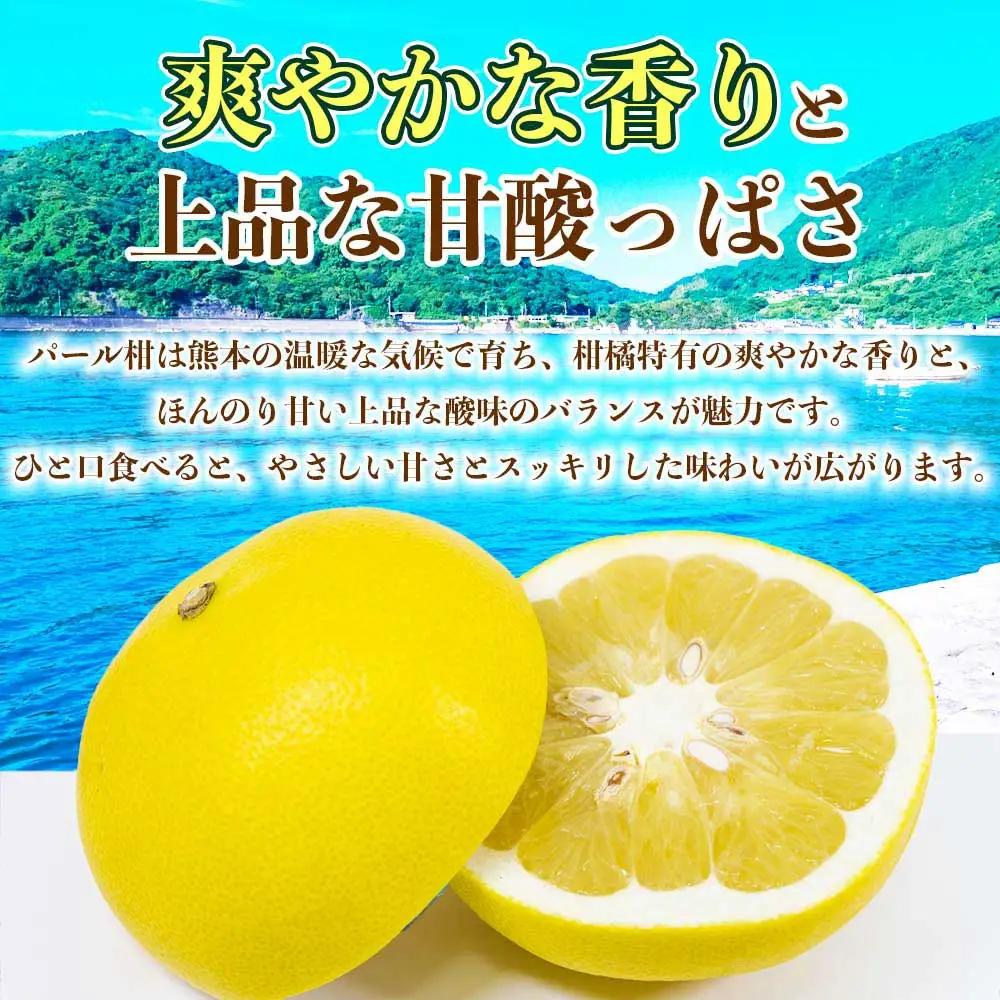 先行予約 パール柑 文旦 秀品  約5kg （6～18玉）【2027年2月上旬～2027年3月下旬発送予定】