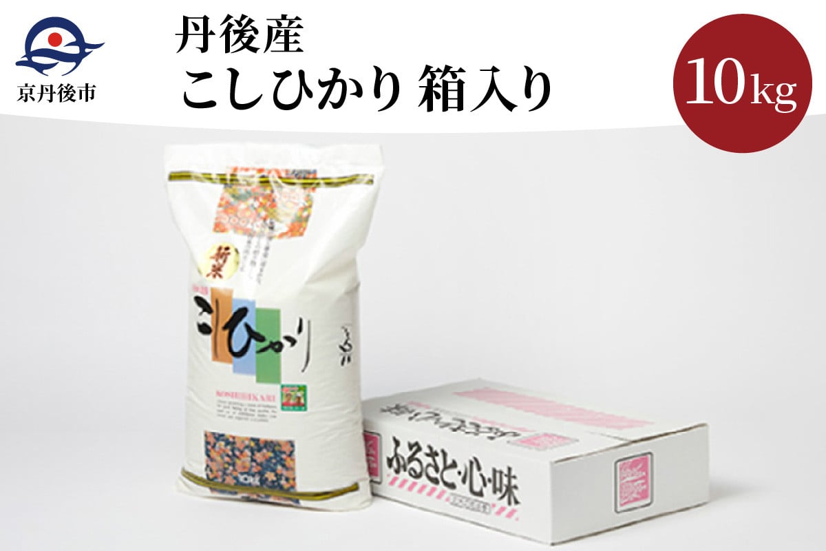 
丹後産こしひかり10kg箱入り／令和6年産　精米 10 穀物 こめ ふるさと納税 コシヒカリ 精米 ふるさと納税 米 精米 京都産 送料無料 生産者応援 農家応援　AM00652
