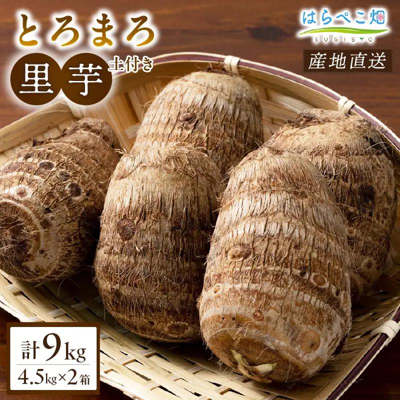 【粘りと甘みが段違い】里芋『とろまろ』土付き 4.5kg 2箱・H121-400
