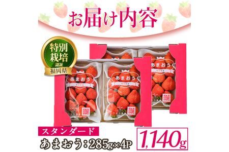 ＜予約受付中！2024年12月中旬より順次発送予定＞うるう農園のスタンダードあまおう(計1.14kg・285g×4P) ふるさと納税 春日市 特産品 苺 いちご イチゴ 果物 フルーツ 国産 福岡県 