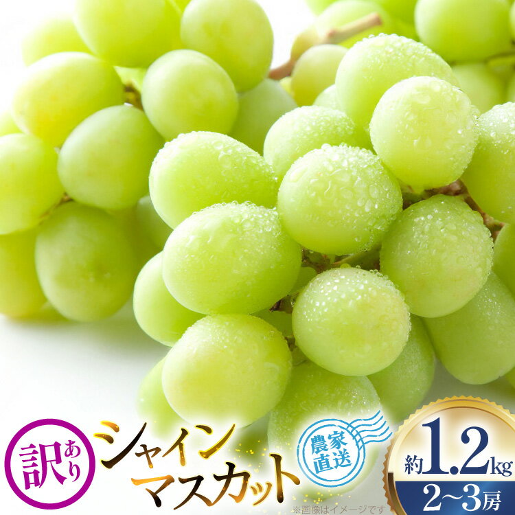 【ふるさと納税】 【2026年発送】 シャインマスカット 訳あり 2～3房 約1.2kg [安達敏幸 山形県 高畠町 tk06ays830003] 箱詰め フルーツ 果物 くだもの ぶどう ブドウ 葡萄 1.2キロ 甘い