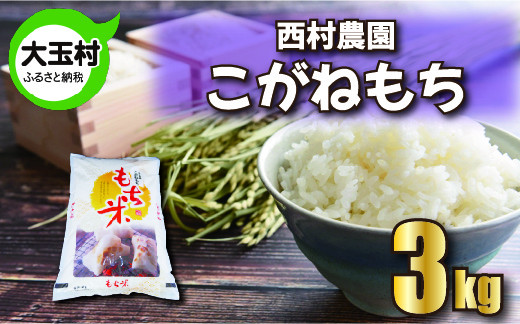 
もち米 こがねもち 3kg 《 令和6年 》 西村農園 ｜ 餅米 餅こめ 米 餅 もち モチ おこわ 炊き込みご飯 福島県 大玉村 ｜nm-km03-R6
