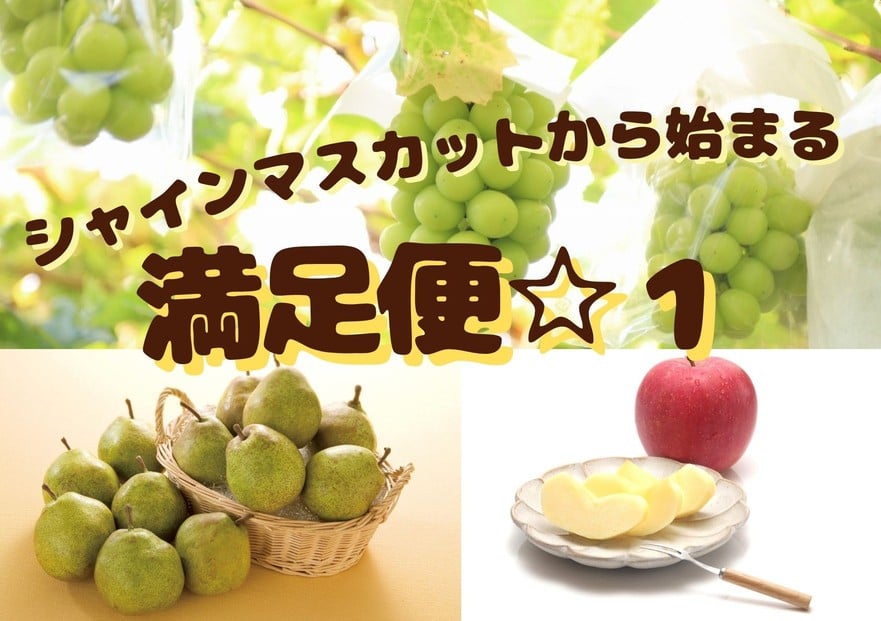 
                  2026年度発送【定期便 ３回】シャインマスカットから始まる　満足定期便☆１
                