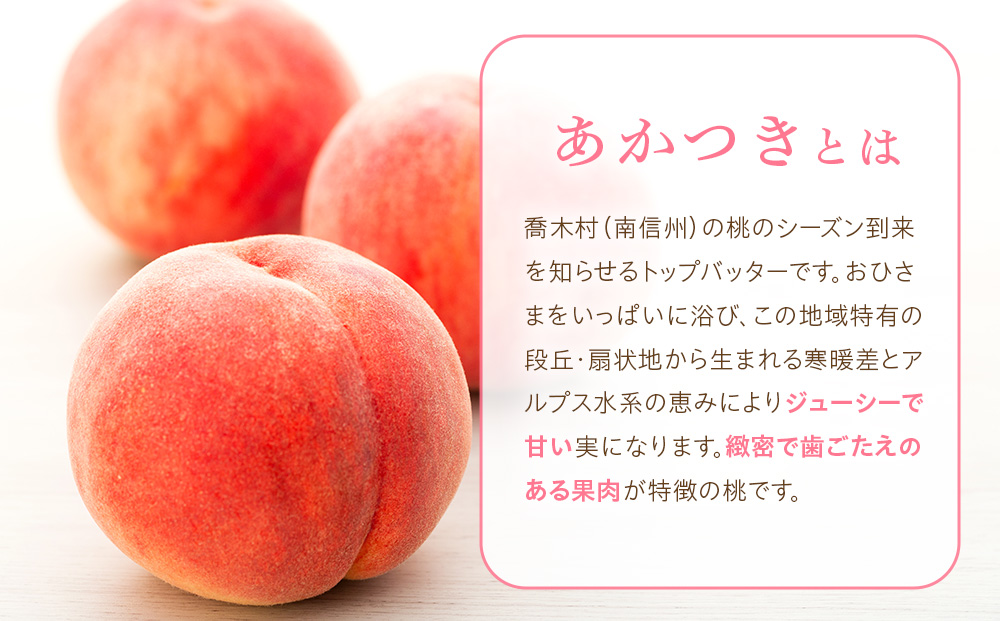 桃　あかつき【太鼓判・優糖生】約5kg