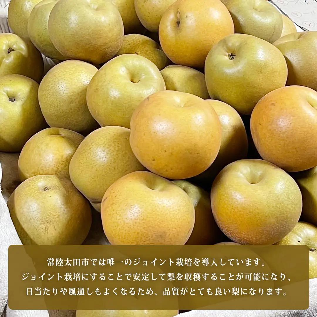 【2026年9月上旬発送開始】 茨城県 オリジナル 幻の 高級梨 『 恵水 』 約 3kg 5玉 ～ 7玉 【茨城県共通返礼品／常陸太田市】 桧山果樹園 農家直送 桧山果樹園 農家直送 フルーツ  甘