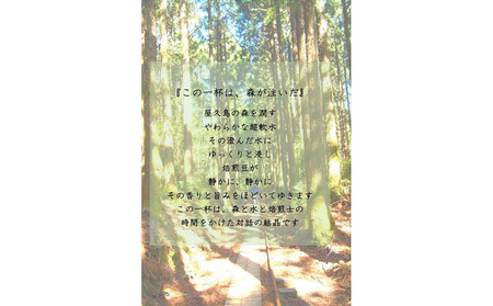 世界自然遺産の屋久島の水でゆっくり淹れた水出しコーヒー