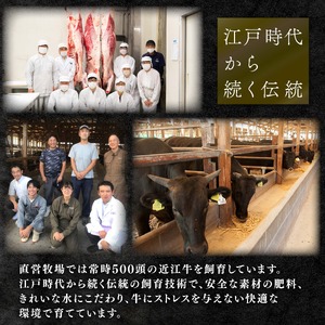 【7月発送】近江牛 牛すじ 500g 冷凍 【 牛すじ 】