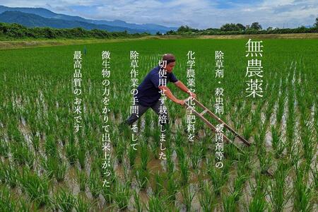 【定期便令和7年産新米予約】南魚沼食味コンクール4年連続優秀賞　無農薬特別栽培米5kg×3回　南魚沼塩沢産コシヒカリ【2025年10月中旬より順次発送予定】
