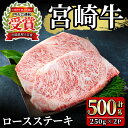 宮崎牛！ロースステーキ(計500g・250g×2)ご家庭で美味しい牛肉を楽しめる！【MI058】【ミヤチク】