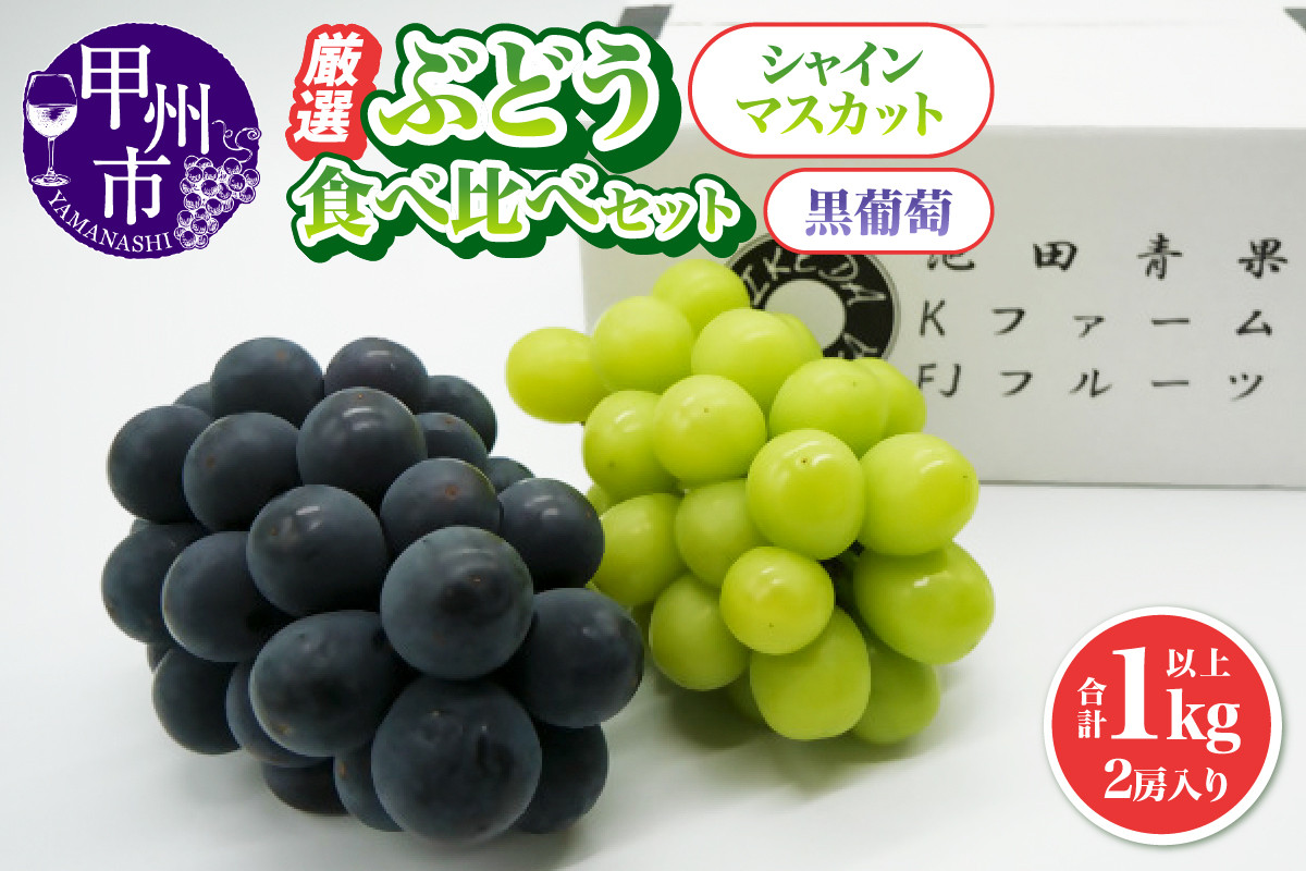 
                  厳選 葡萄食べ比べセット 1.0kg以上 2房入り【2026年発送】（IS）B-474 【シャインマスカット 黒葡萄 ぶどう 葡萄 ブドウ 令和8年発送 期間限定 山梨県産 甲州市 フルーツ 果物】
                
