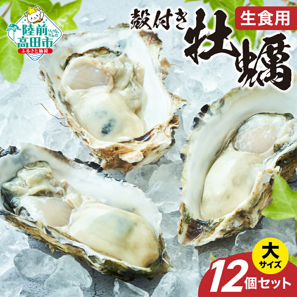 【ふるさと納税】先行予約 殻付き 牡蠣 大サイズ 12個 セット 生食用 剥き方説明書付き [ かき カキ 生牡蠣 大粒 旬 天然 新鮮 海鮮 限定 人気 おすすめ 冷蔵 料理 鍋 牡蠣鍋 バーベキュー フライ カキフライ 産地直送 岩手 陸前高田 三陸産 広田湾産 気仙町 一本松牡蠣 ]