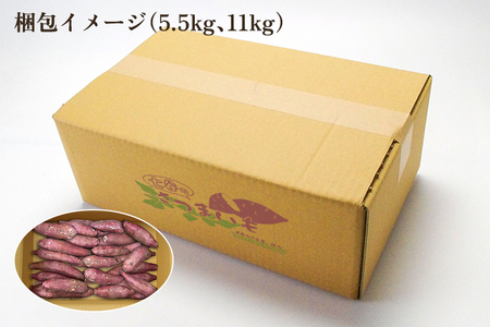 【七谷産】シルクスイート 5.5kg（M～LLサイズ）さつまいも《順次発送》人気品種 しっとり食感と濃厚な甘み 低温熟成 蒸し芋や焼き芋、スイートポテトなどのスイーツに 加茂市 YAGOROU ヤゴロ