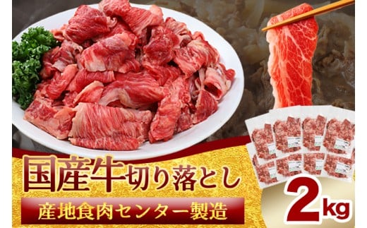 国産牛切り落とし2kg（250g×8パック）（DV072）