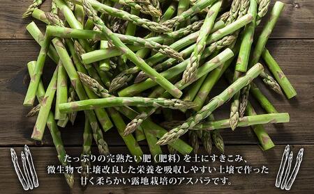 【2025年発送先行予約】露地物朝採りアスパラ　鮮度保持フィルム入り　Lサイズ　500g×1_04750