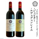 【ふるさと納税】ルヴェデュソレイユとメルロー＆カベルネ・ソーヴィニョンジュピターセット 各750ml [ ヴィニョブル安曇野(ドメーヌ・ヒロキ)長野県 池田町 48110599] ワイン 赤 赤ワイン 飲み比べ ワインセット