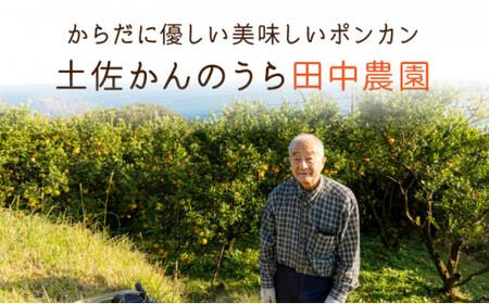 【先行予約】訳ありポンカン 3kg（L~3Lサイズ） 国産 東洋町産 訳あり 甘酸っぱい ジューシー 蜜柑 ミカン 高知県 東洋町 四国 お取り寄せ フルーツ 果物 送料無料 TA11 【田中農園】