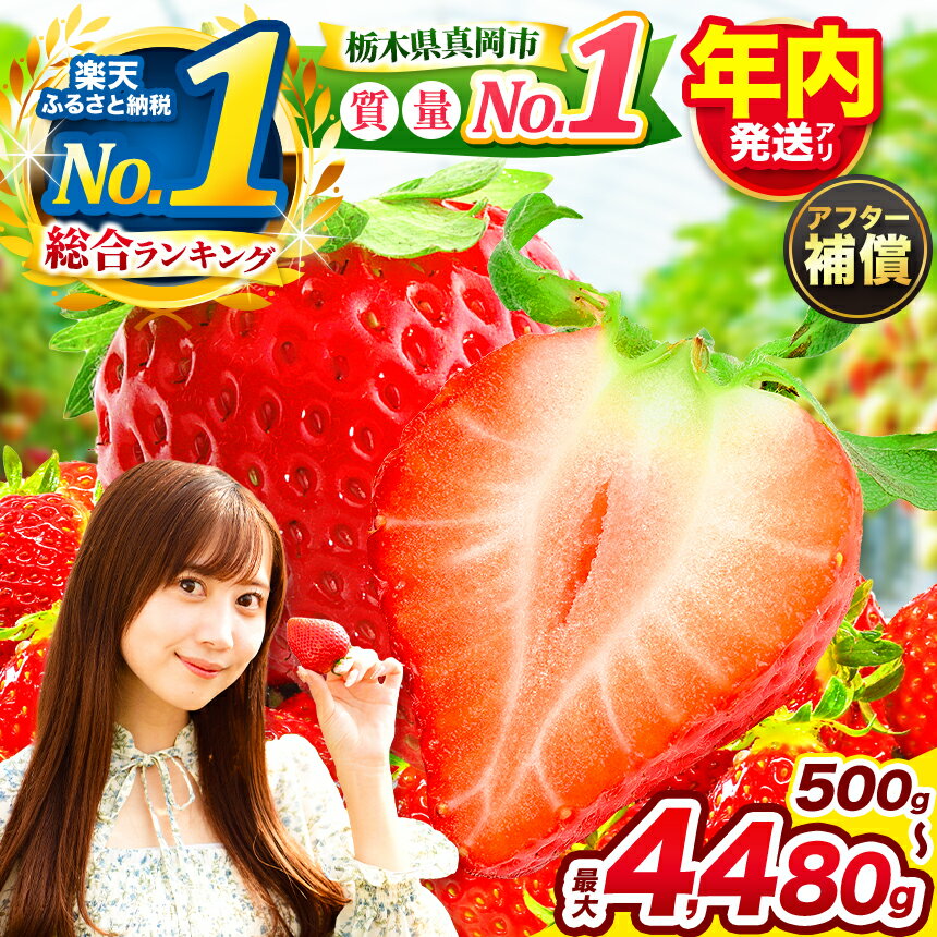 楽天限定 朝摘みいちご 旬の品種 1200g