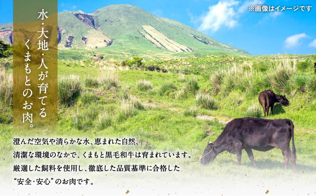 厳選した飼料を使用し、徹底した品質基準に合格した安全・安心のお肉です。