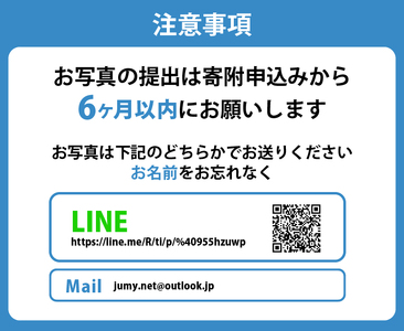 本格オーダーメイド 似顔絵 （色紙サイズ・額付） 1名 ペットも描きます